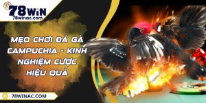 Mẹo Chơi Đá Gà Campuchia - Kinh Nghiệm Cược Hiệu Quả