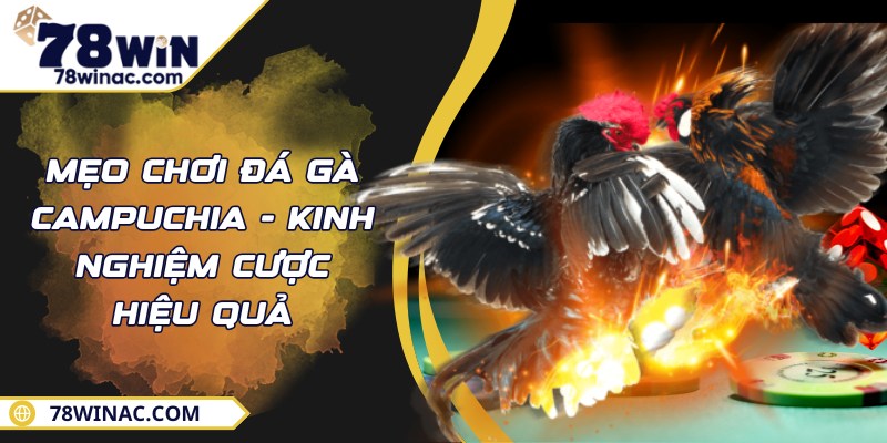 Mẹo Chơi Đá Gà Campuchia - Kinh Nghiệm Cược Hiệu Quả