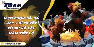 Mẹo Chọn Gà Đá Hay - Bí Quyết Từ Sư Kê Lâu Năm Tiết Lộ